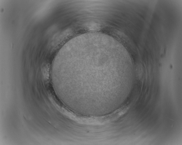 X0000054170032200508101811.png