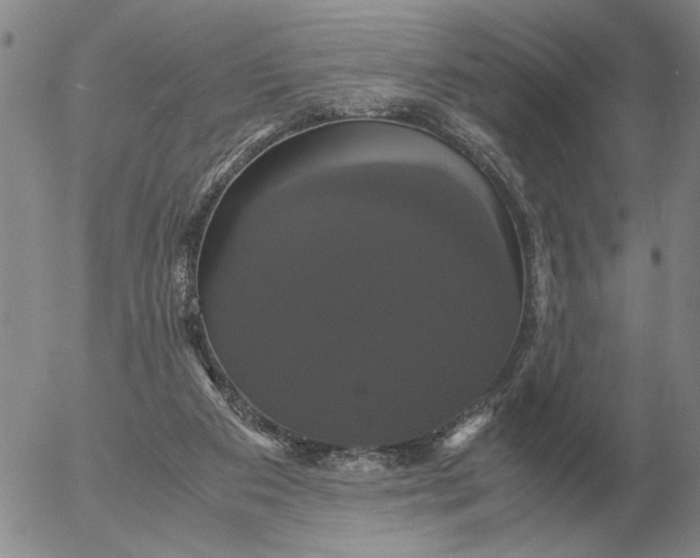 X0000054170113200508101809.png