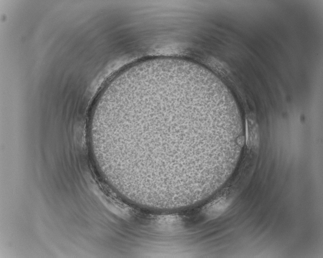 X0000054580204200508300109.png