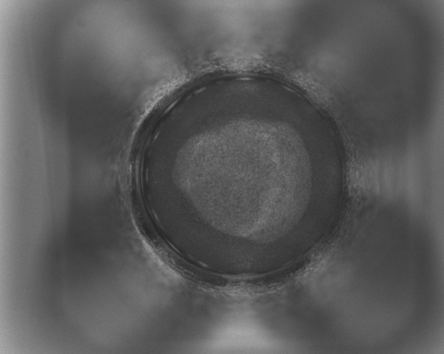 X0000038920630200409291006.png