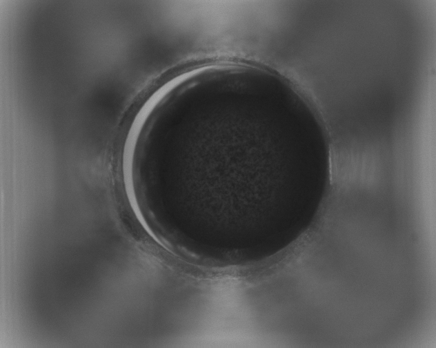 X0000054730483200508171856.png