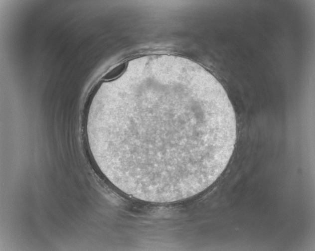 X0000054270293200508261923.png