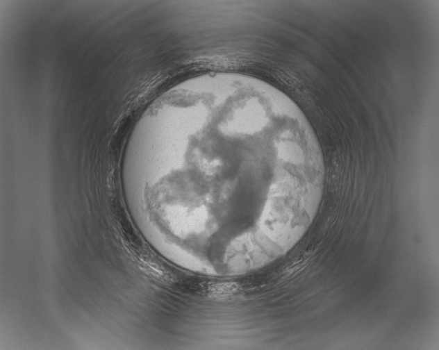 X0000055250355200509071621.png