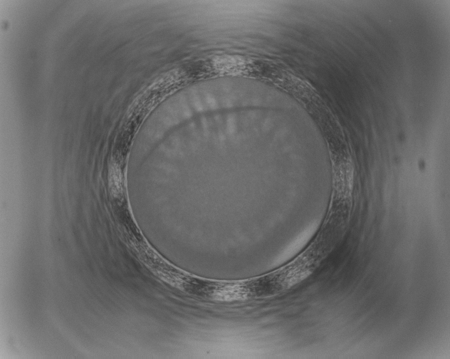 X0000054170705200508101800.png