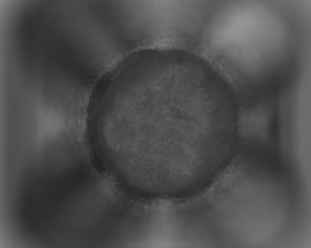 X0000047500208200503161522.png