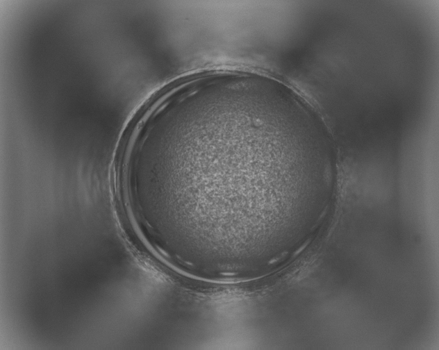 X0000052280891200507132025.png