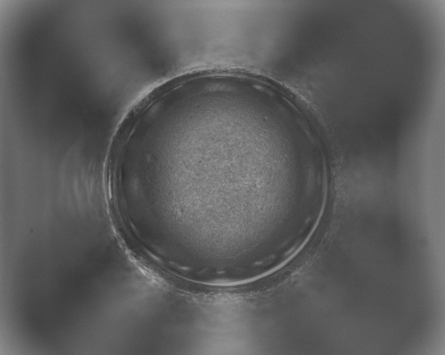 X0000052281030200507132023.png