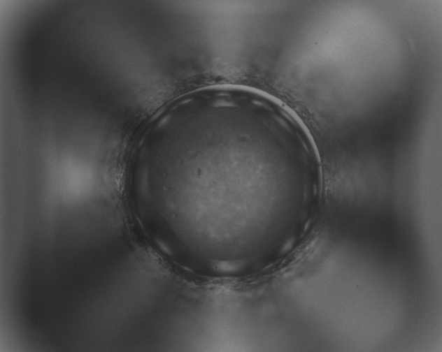 X0000048530285200503171519.png