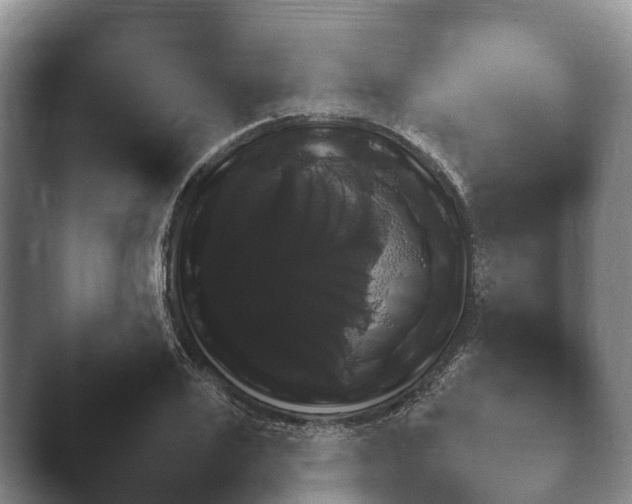 X0000045390983200501241358.png