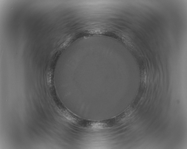 X0000054350268200508190136.png