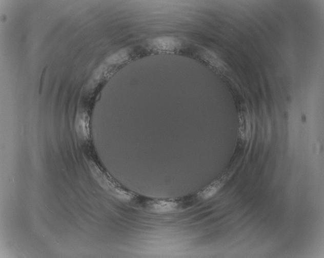 X0000054170718200508101759.png