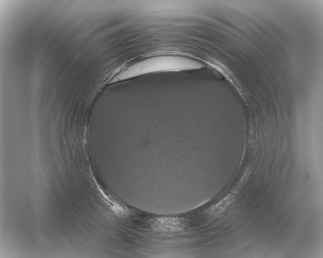 X0000054350849200508190126.png