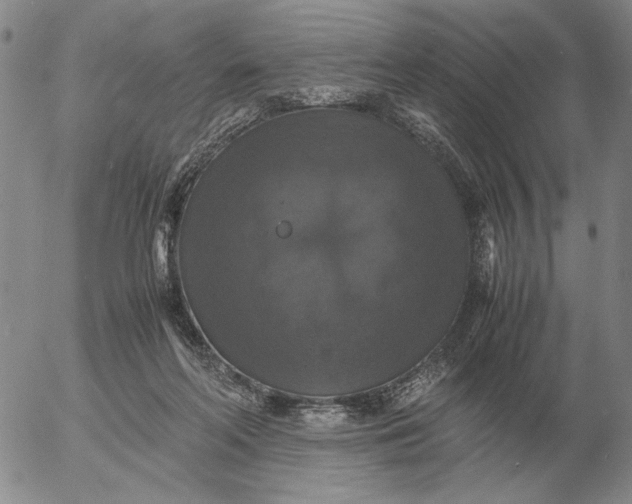 X0000054170214200508101808.png