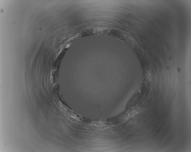 X0000054170914200508101755.png