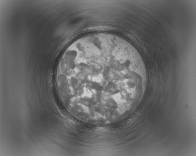 X0000055250111200509071626.png