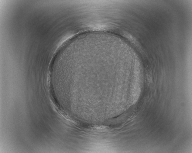 X0000054350583200508190130.png