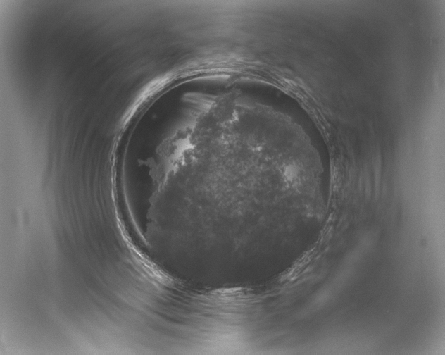 X0000055060054200508161656.png