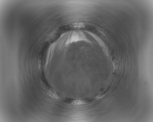 X0000054350704200508190128.png