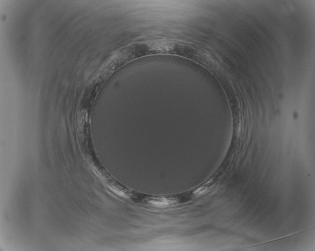 X0000054170229200508101808.png