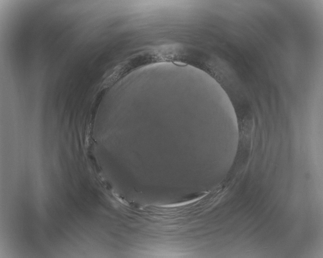 X0000054350139200508190138.png