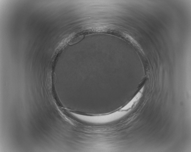 X0000054350493200508190132.png