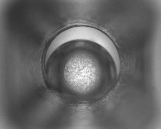 X0000052450151200507211323.png
