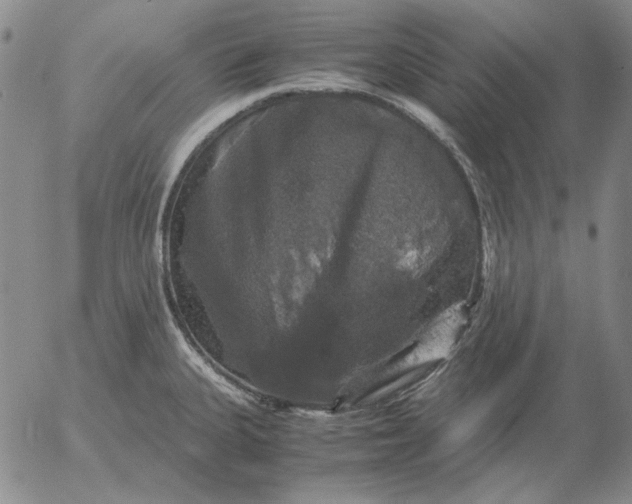 X0000054171335200508101750.png