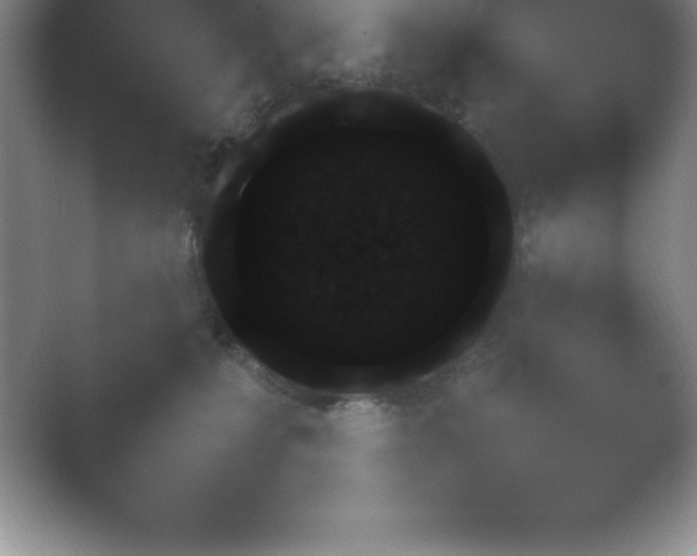 X0000054730231200508171900.png