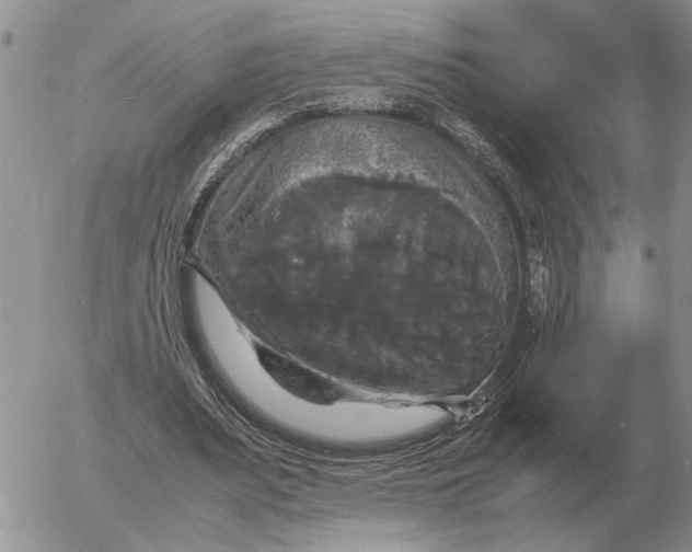 X0000054170487200508101803.png