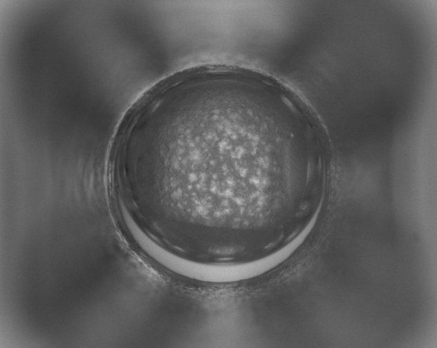 X0000052280791200507132027.png