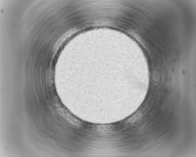X0000054230832200508171508.png