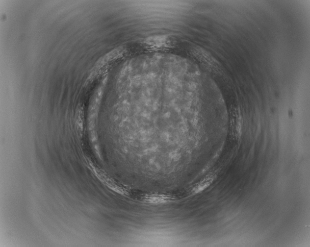 X0000054170710200508101800.png