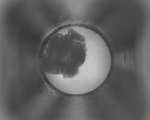 X0000054931452200508291619.png
