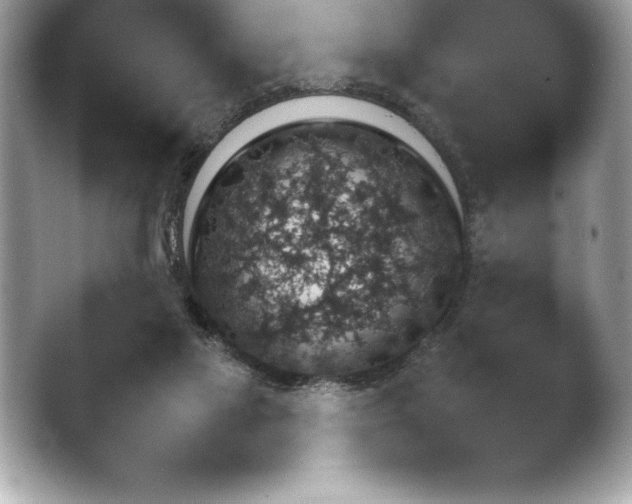 X0000043780069200412291337.png