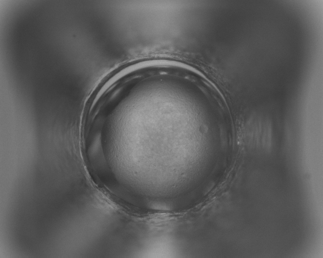 X0000052280052200507132039.png
