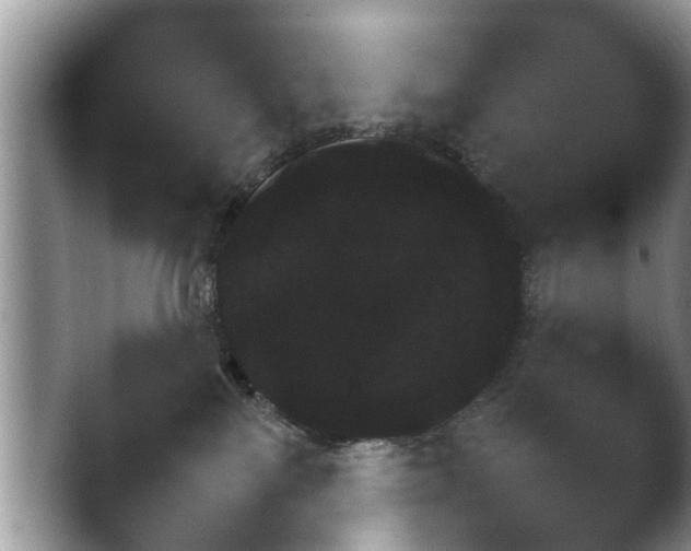 X0000044710137200501101328.png