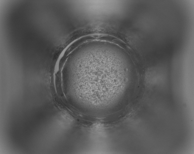 X0000054970413200509051509.png