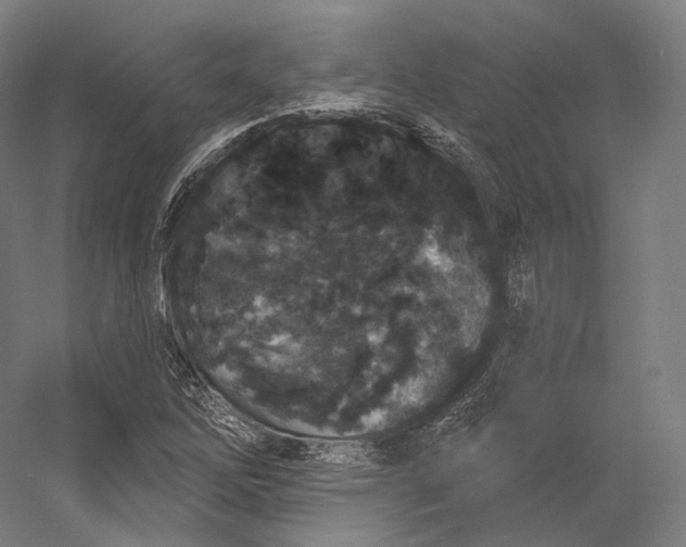 X0000055211262200508301312.png