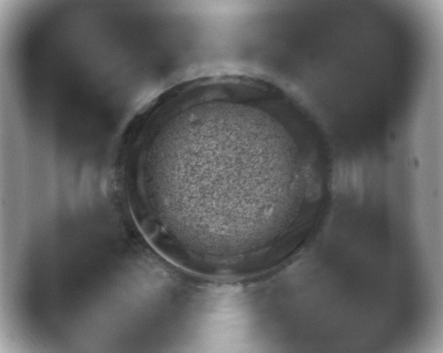 X0000048601261200503281324.png