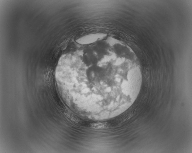 X0000055250511200509071619.png