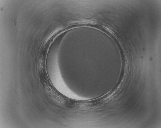 X0000054171163200508101752.png