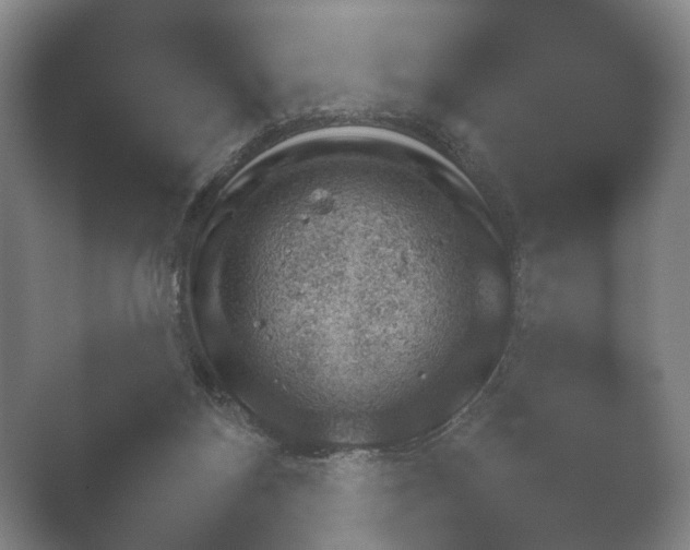X0000052280116200507132039.png