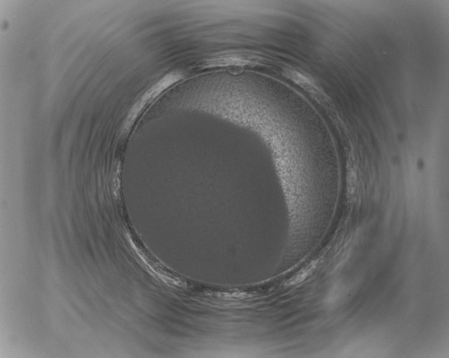 X0000054171233200508101751.png