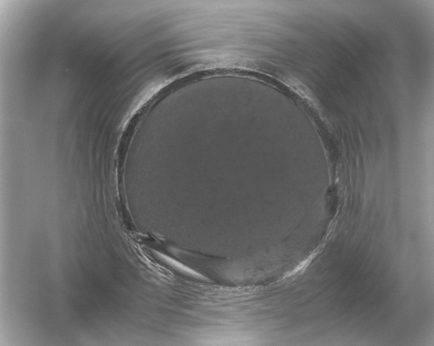 X0000054350877200508190125.png