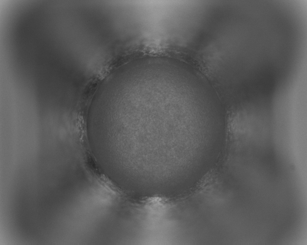 X0000052150222200507052000.png