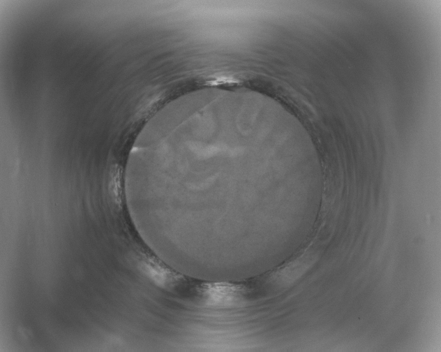 X0000054350336200508190135.png