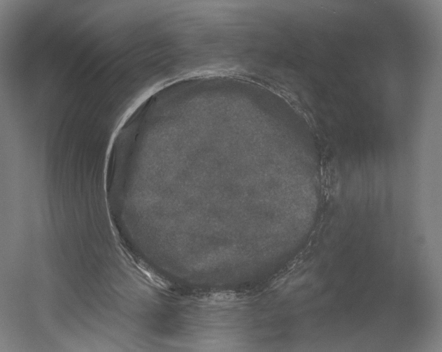X0000055210196200508301330.png