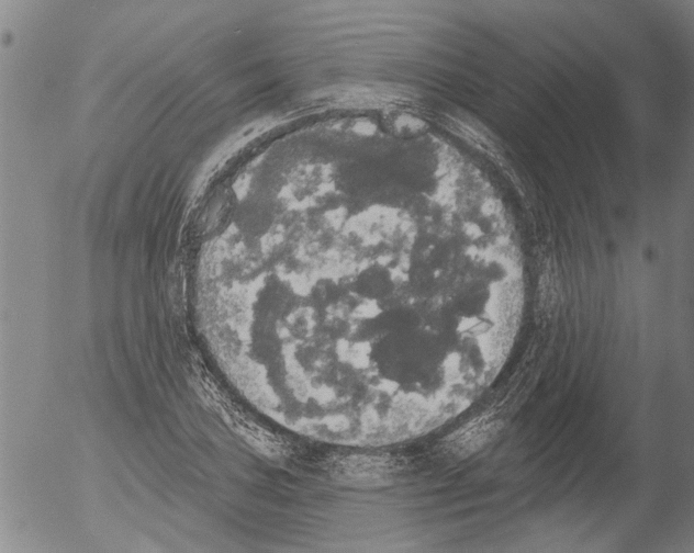 X0000054581027200508300055.png
