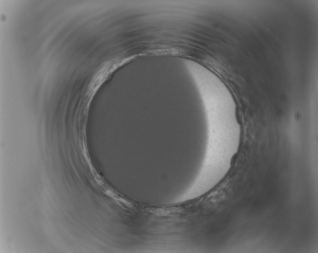X0000054170241200508101807.png