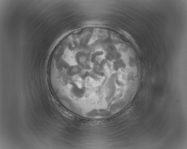 X0000055251435200509071604.png
